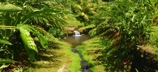 Le musée de la Banane en Martinique
