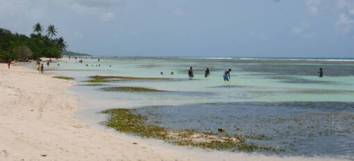 Grande-Terre