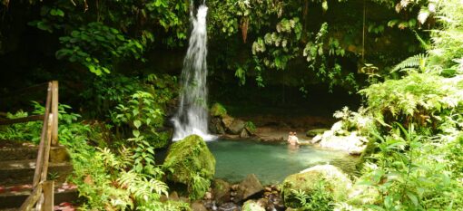 Emerald Pool en Dominique