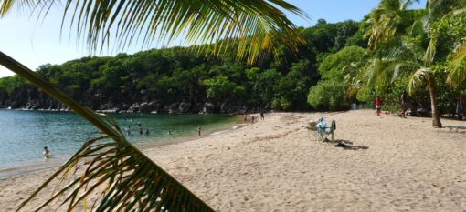 Plage de Petite Anse en Basse-Terre