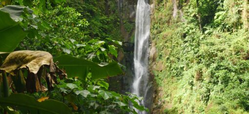 Trafalgar Falls : Une Merveille de la Dominique