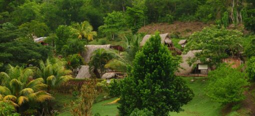 La Savane des esclaves en Martinique
