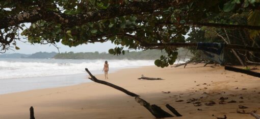 Bocas del Toro, Panama