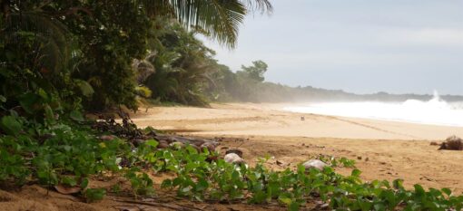 Playa Bluff à Isla Colon
