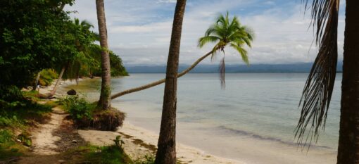 Isla Colon à Bocas del Toro